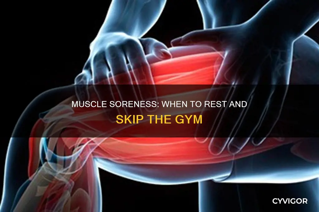 when are your muscles too sore to workout