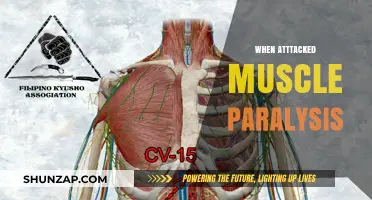 Muscle Paralysis: When Attacked, What Happens?