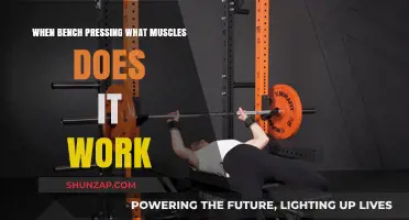 Bench Press Breakdown: Muscles Targeted and Strengthened in Every Rep