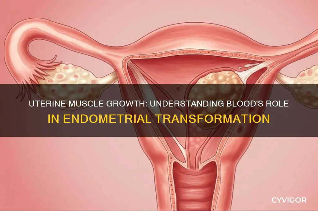 when blood grows into muscle of uterus