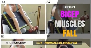 Biceps Muscle Tear: Understanding and Preventing a Fall