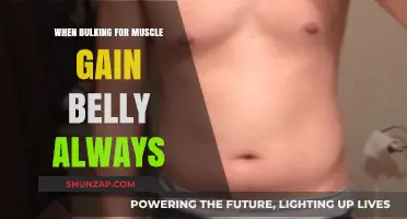 Why Your Belly Grows When Bulking for Muscle Gain: Explained