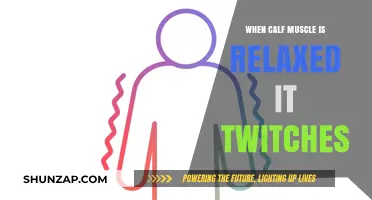 Why Your Calf Muscle Twitches When Relaxed: Causes and Solutions