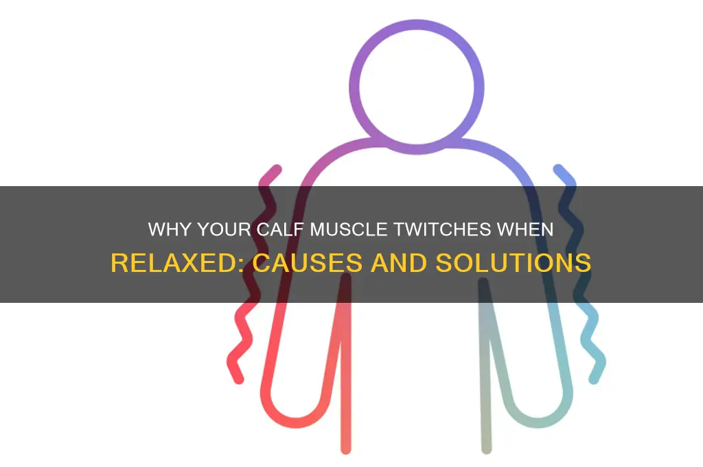 when calf muscle is relaxed it twitches