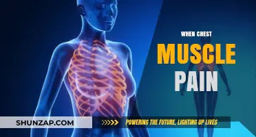 Understanding Chest Muscle Pain: Causes, Symptoms, and Effective Relief Strategies
