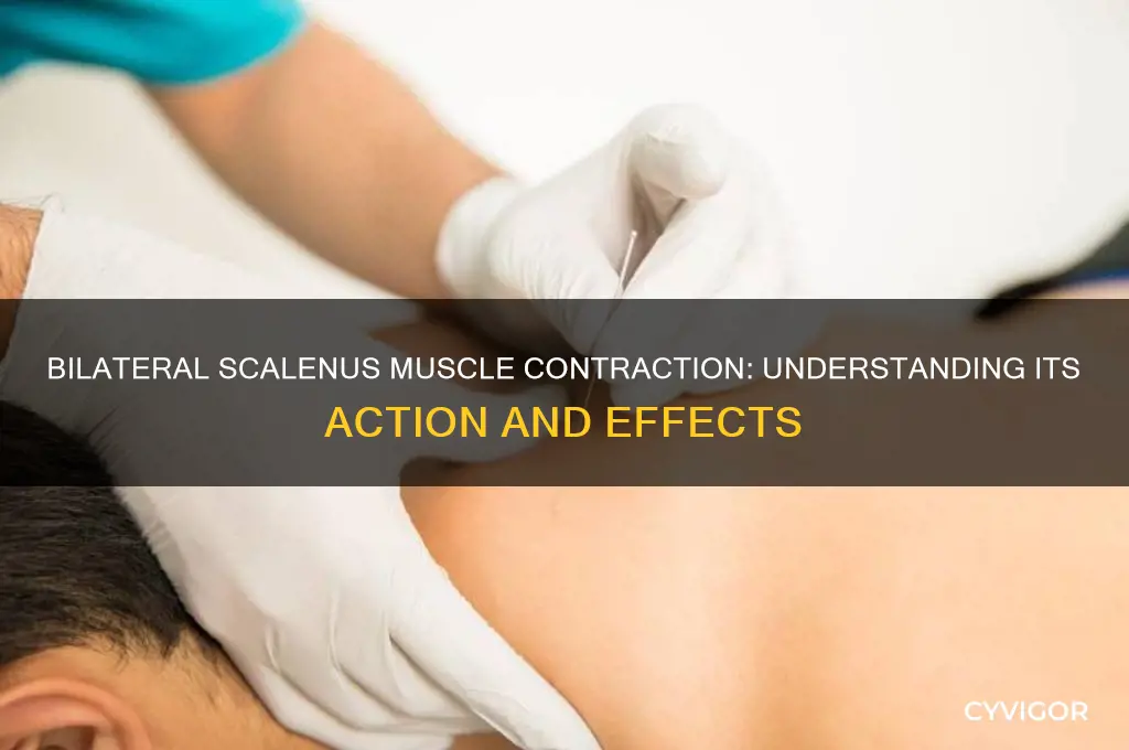 when contracted bilaterally what action does the scalenus muscles cause
