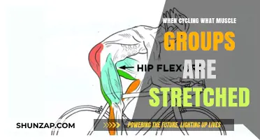 Cycling's Stretch Benefits: Key Muscle Groups Targeted in Every Ride