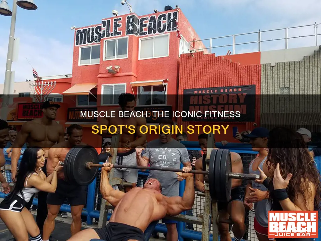 when did muscle beach open