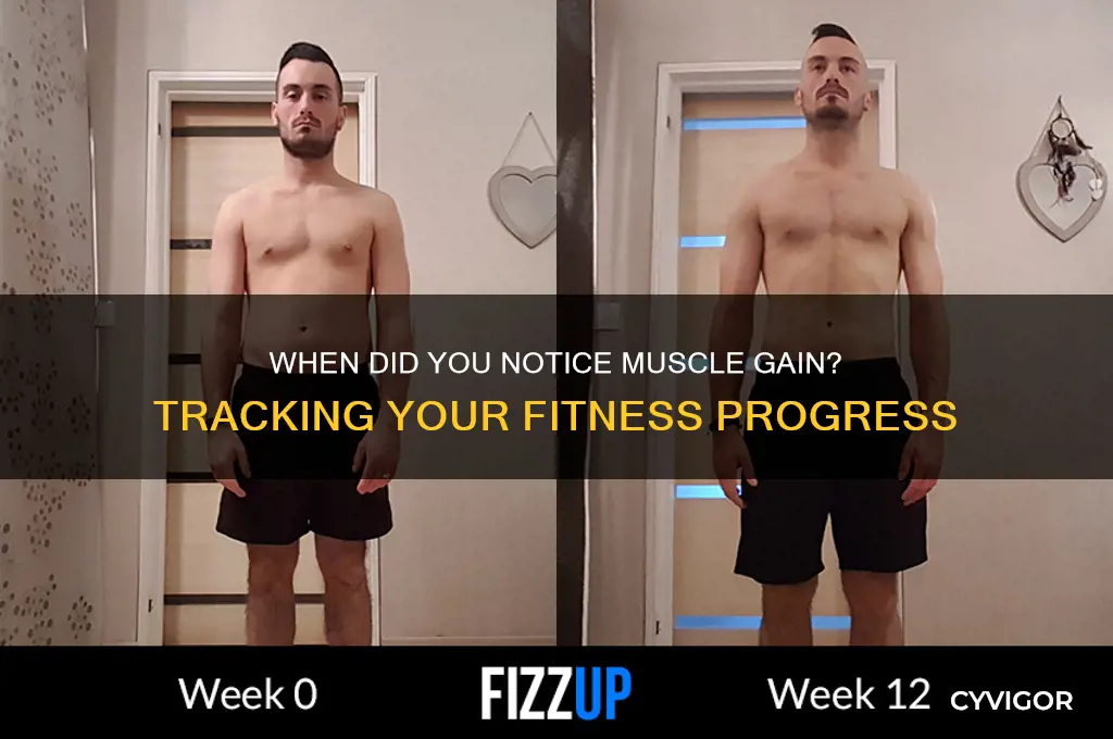 when did you notice muscle gain