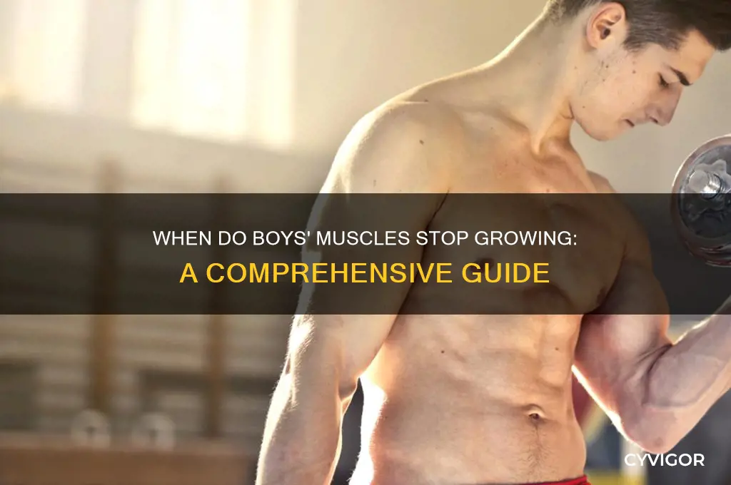 when do boys muscles stop growing