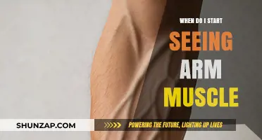 When Will Arm Muscles Show? A Guide to Visible Results