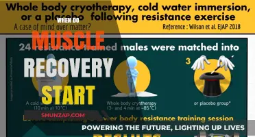 Muscle Recovery: When Does It Begin?