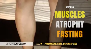 Fasting's Impact: When Do Muscles Begin to Atrophy?