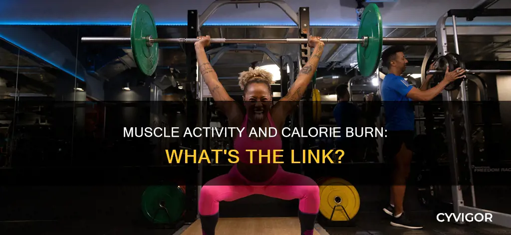 when do muscles burn calories