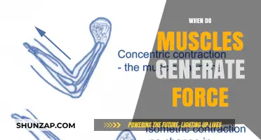 Muscles Generate Force: The Science Behind Muscle Contraction
