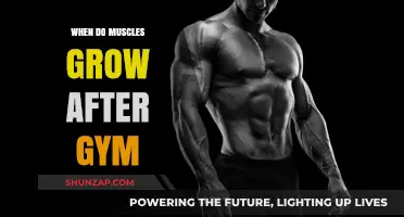 Muscle Growth Timeline: When Do Muscles Actually Grow Post-Workout?