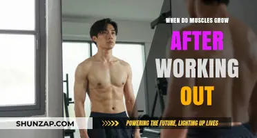 Muscle Growth Timeline: When Do Muscles Actually Grow Post-Workout?