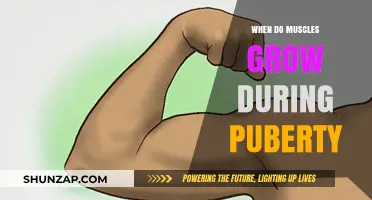 Muscle Growth During Puberty: Understanding When and How It Happens