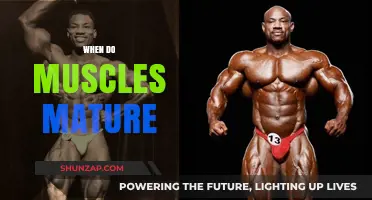 Muscle Maturity: When Does It Peak?