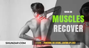 Muscle Recovery: Understanding the Timeline for Rebuilding Strength