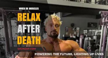 Postmortem Muscle Relaxation: Understanding Rigor Mortis and Its Timeline