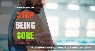 Understanding Muscle Soreness: When Does the Pain Finally Subside?