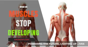 Muscle Development: When Does It Peak?
