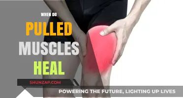 Pulled Muscle Recovery Timeline: Understanding Healing Process and Factors