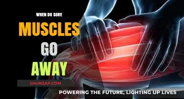 Sore Muscles Recovery Timeline: When Will the Pain Subside?