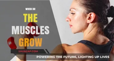 Muscle Growth Secrets: When and How Your Muscles Actually Grow