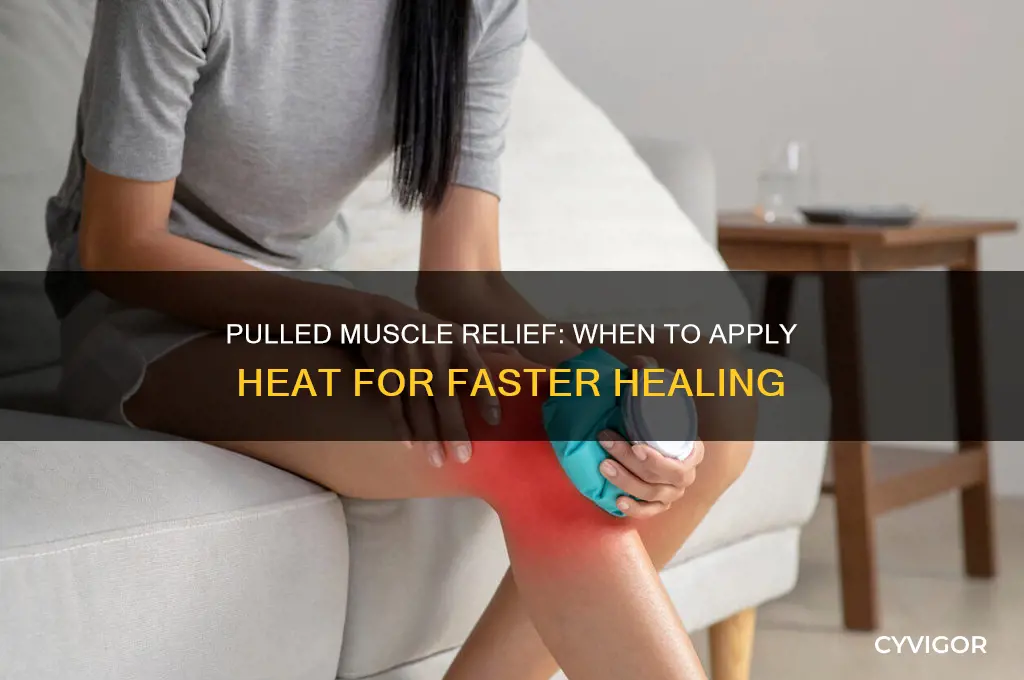 when do you apply heat to a pulled muscle