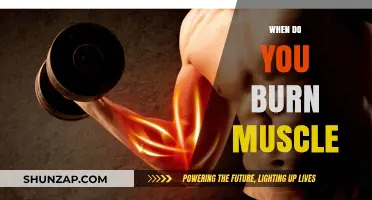 Burning Muscle: When Does It Happen?