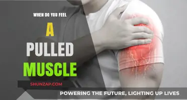 Recognizing Pulled Muscle Symptoms: When to Seek Relief and Recovery