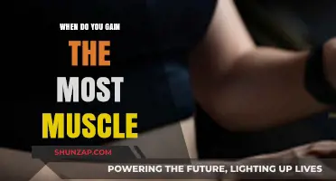 Optimal Muscle Growth: Timing Strategies for Maximum Gains Revealed