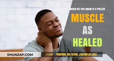 Signs Your Pulled Muscle Has Fully Healed: What to Look For