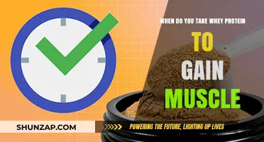 Optimal Timing for Whey Protein to Maximize Muscle Growth