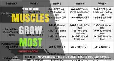 Maximize Muscle Growth: Timing Your Workouts for Optimal Results