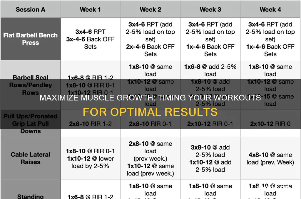 when do your muscles grow most
