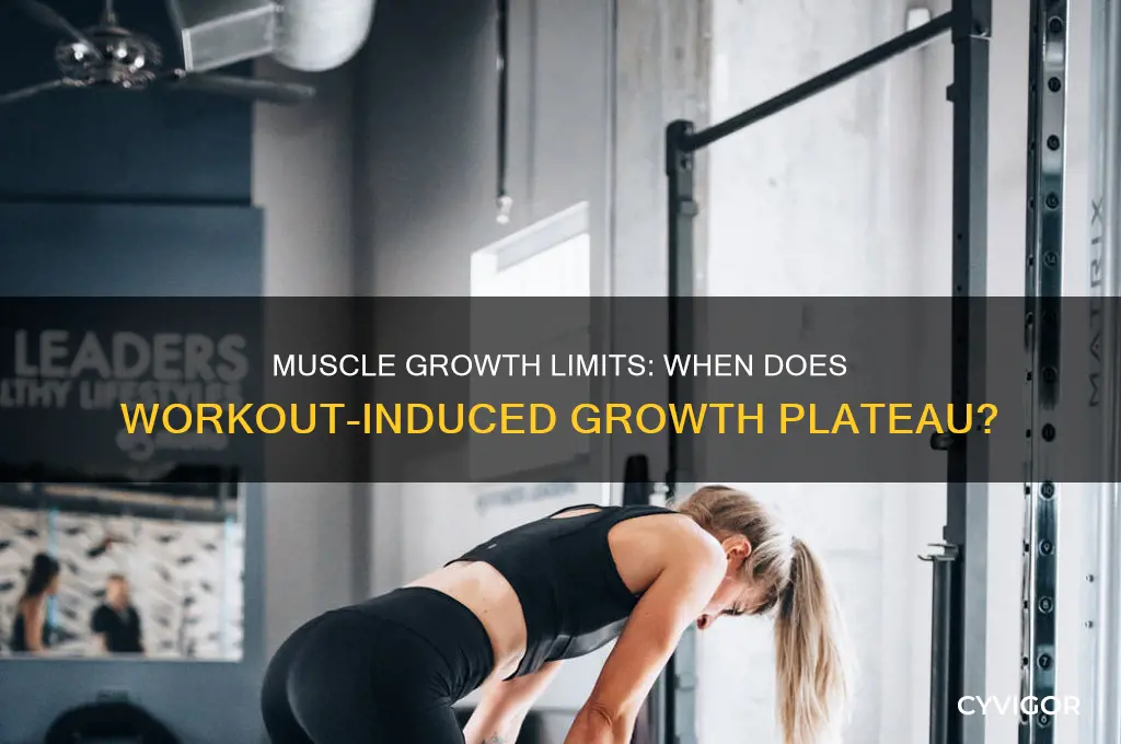 when do your muscles stop growingfrom working out