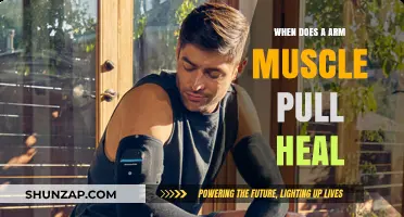 Healing Timeline: How Long Does an Arm Muscle Pull Take to Recover?