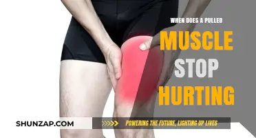 Pulled Muscle Pain Relief Timeline: When to Expect Healing and Comfort