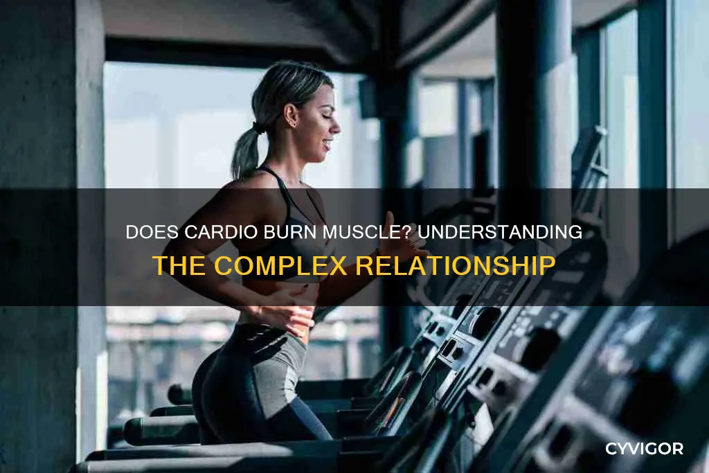 when does cardio burn muscle
