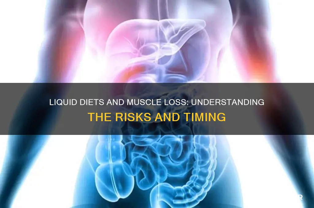 when does eating a liquid diet cause muscle wasting