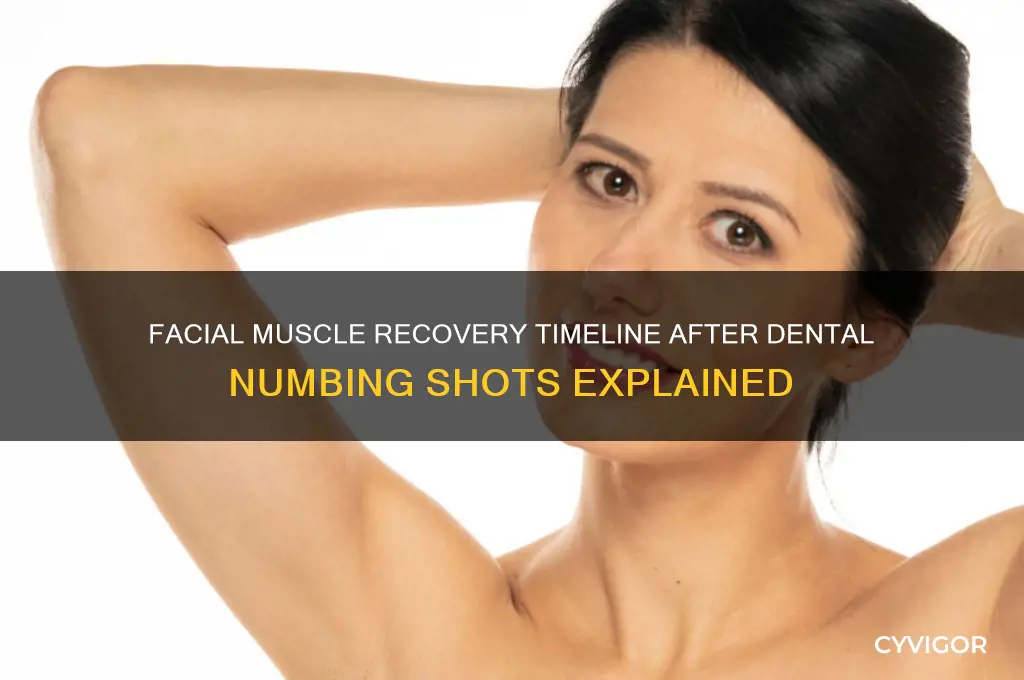 when does facial muscles work after dental numbing shots