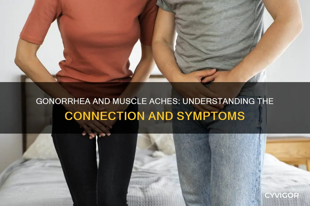 when does gonorrhea cause muscle aches
