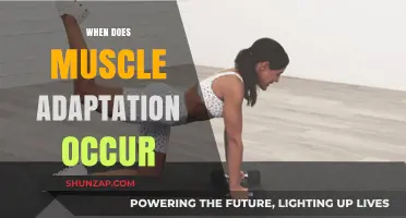 Muscle Adaptation: When Does It Occur?