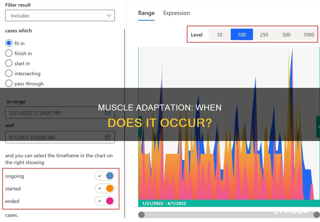 when does muscle adaptation occur