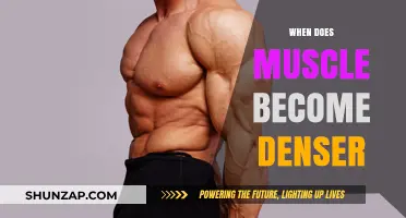 How to Increase Muscle Density: The Ultimate Guide