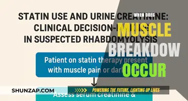 Muscle Breakdown: Understanding When It Occurs and Why