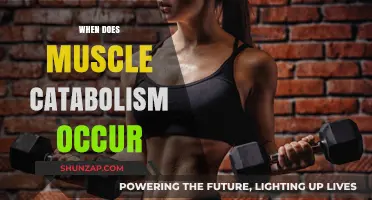 Understanding Muscle Catabolism: When Does It Occur?
